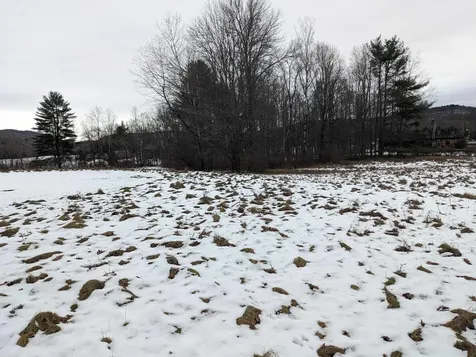 95 Sevigny Road Castleton VT 05735