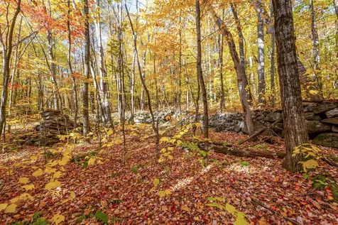 0 Forbes Mountain Road Danbury NH 03230