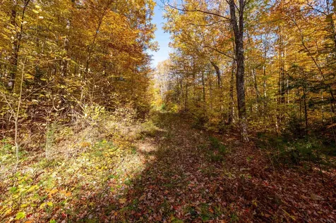 0 Forbes Mountain Road Danbury NH 03230