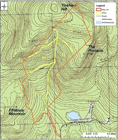 0 Forbes Mountain Road Danbury NH 03230