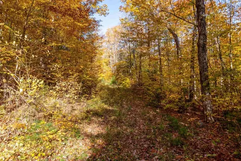 0 Forbes Mountain Road Danbury NH 03230