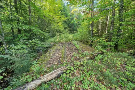 0 Forbes Mountain Road Danbury NH 03230