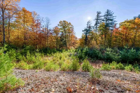 0 Forbes Mountain Road Danbury NH 03230