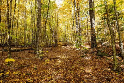 0 Forbes Mountain Road Danbury NH 03230