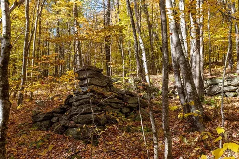 0 Forbes Mountain Road Danbury NH 03230