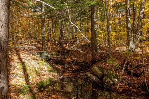 0 Forbes Mountain Road Danbury NH 03230