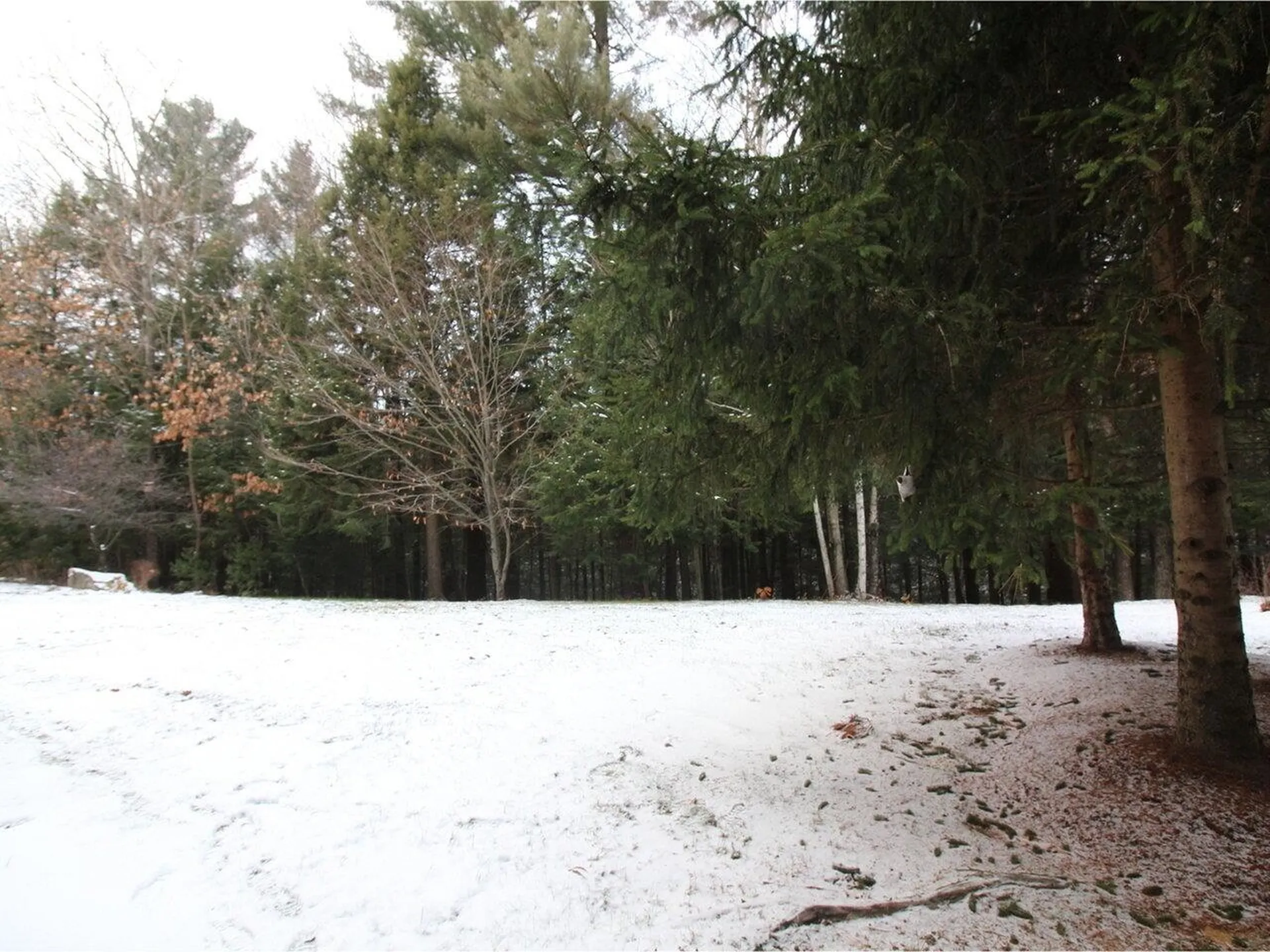 50 Partridge Drive Essex VT 05452