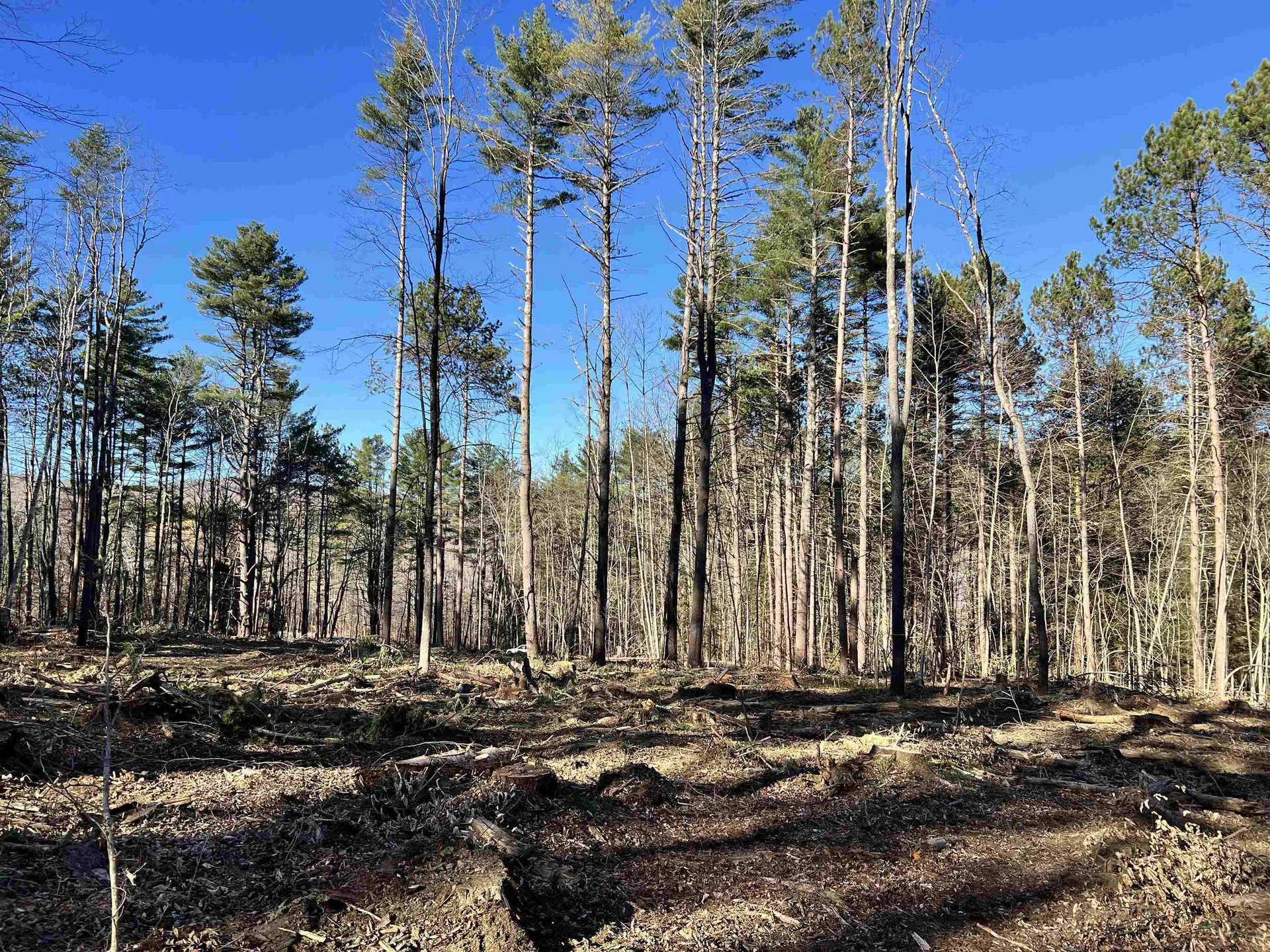 00 Weeden Hill Road West Windsor VT 05037