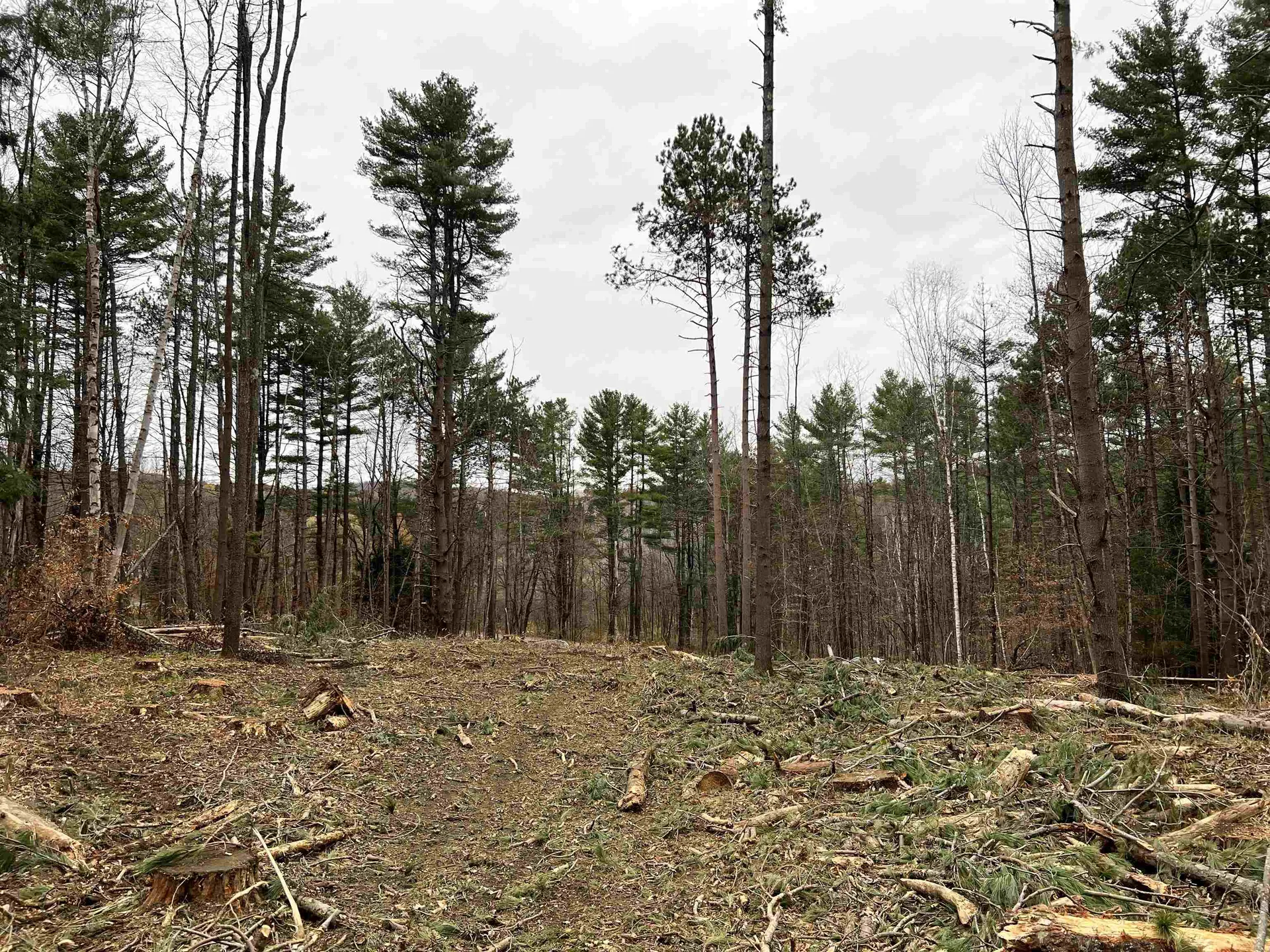 00 Weeden Hill Road West Windsor VT 05037