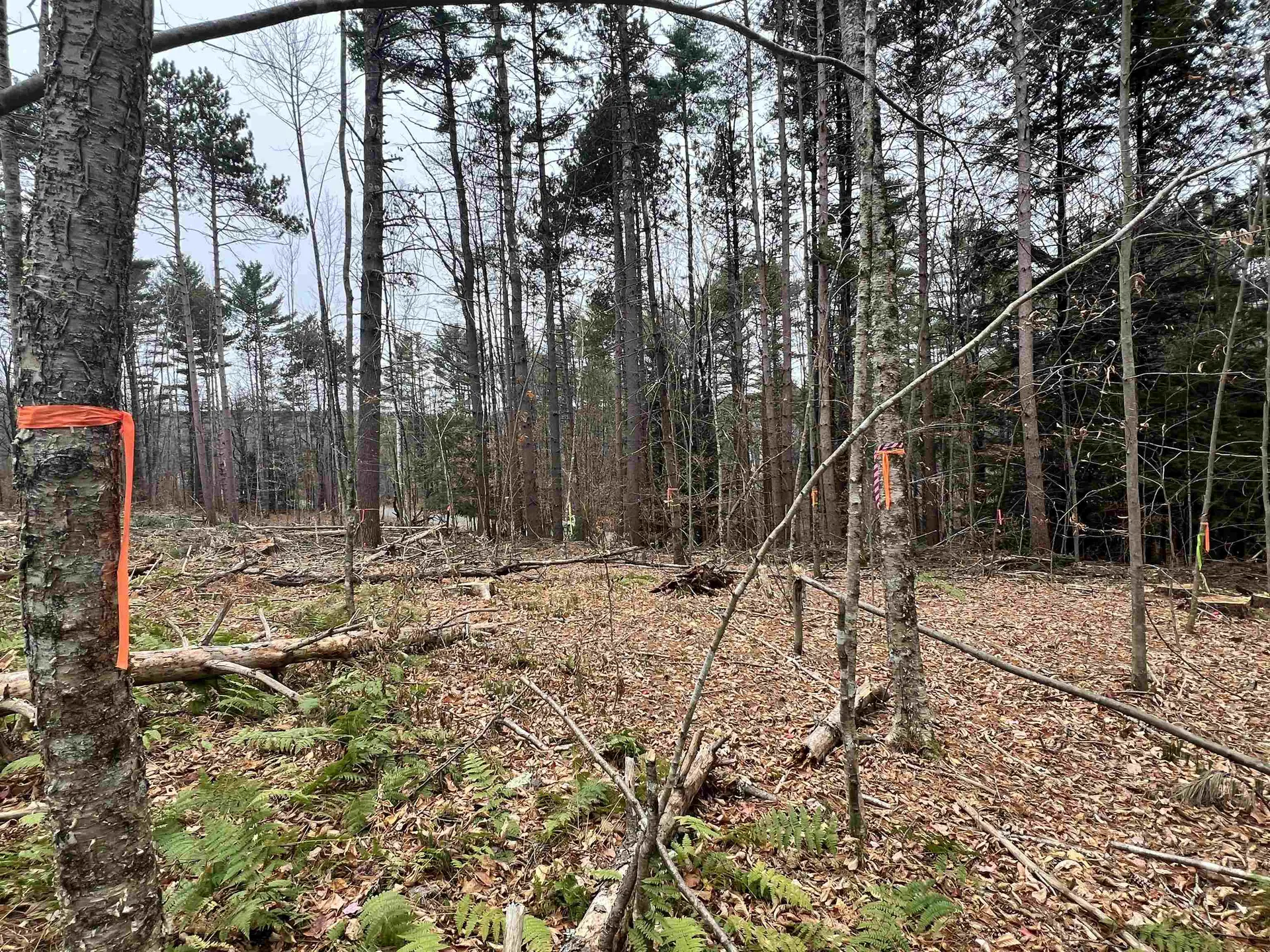 00 Weeden Hill Road West Windsor VT 05037