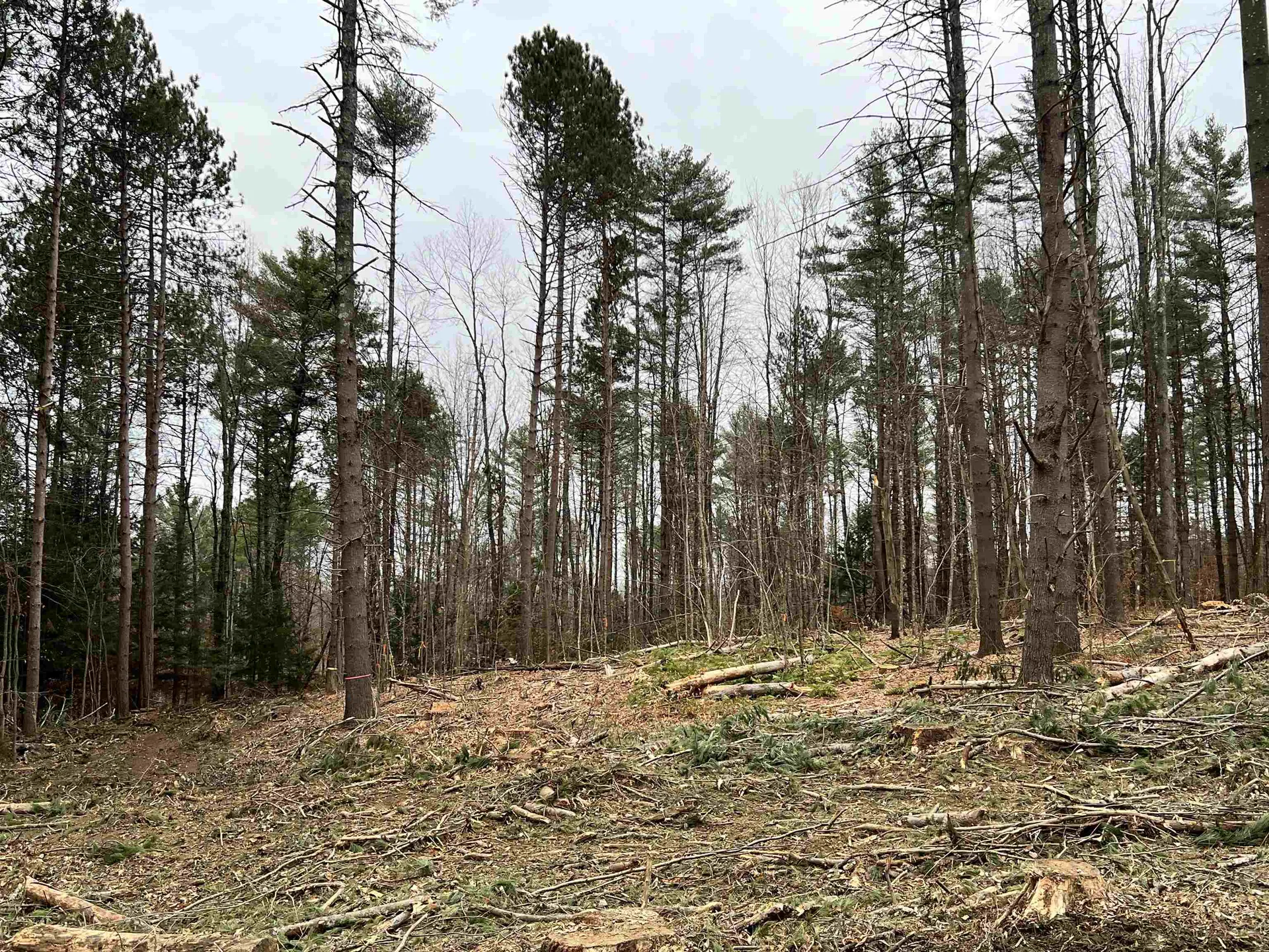 00 Weeden Hill Road West Windsor VT 05037