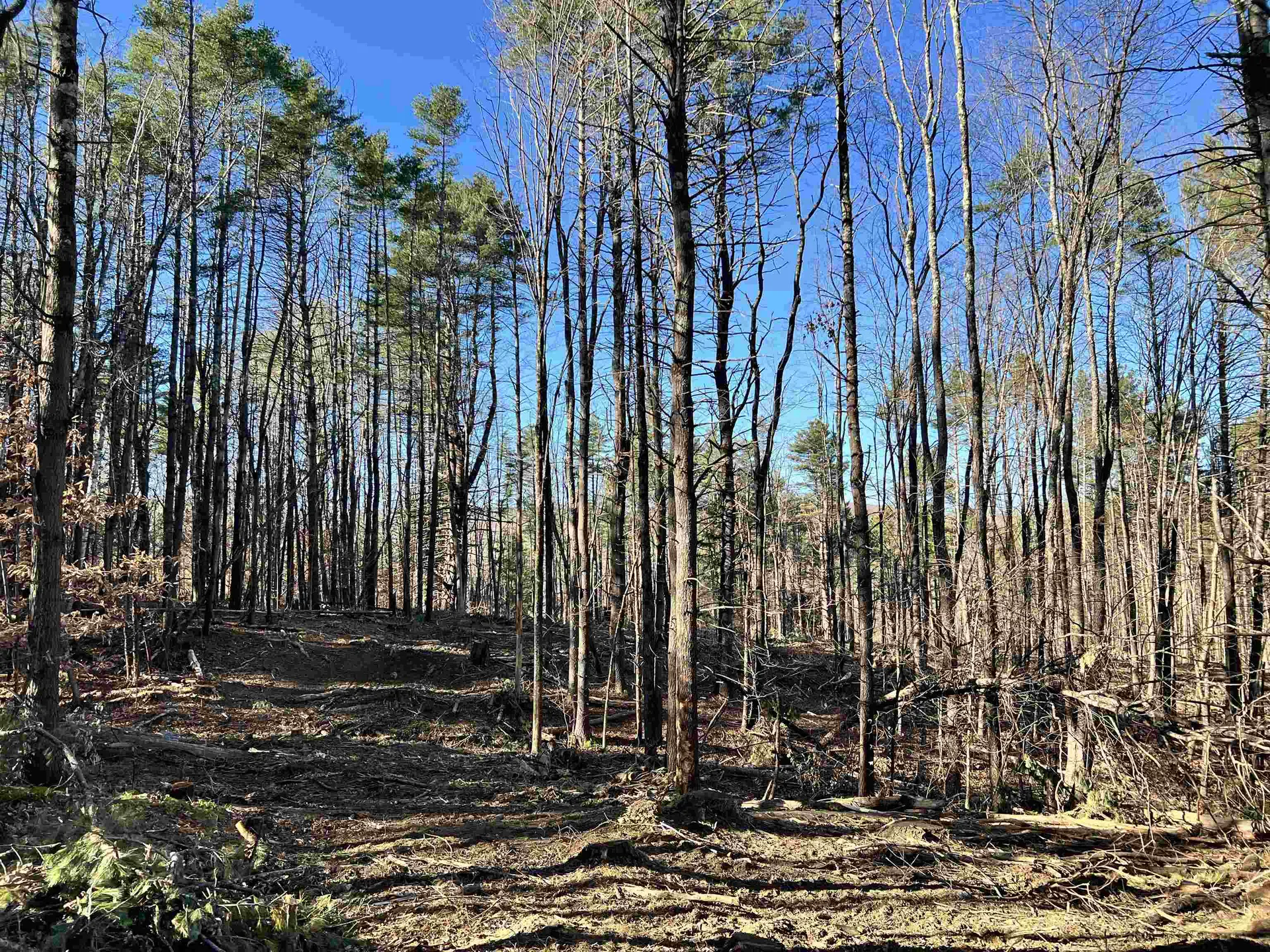 00 Weeden Hill Road West Windsor VT 05037