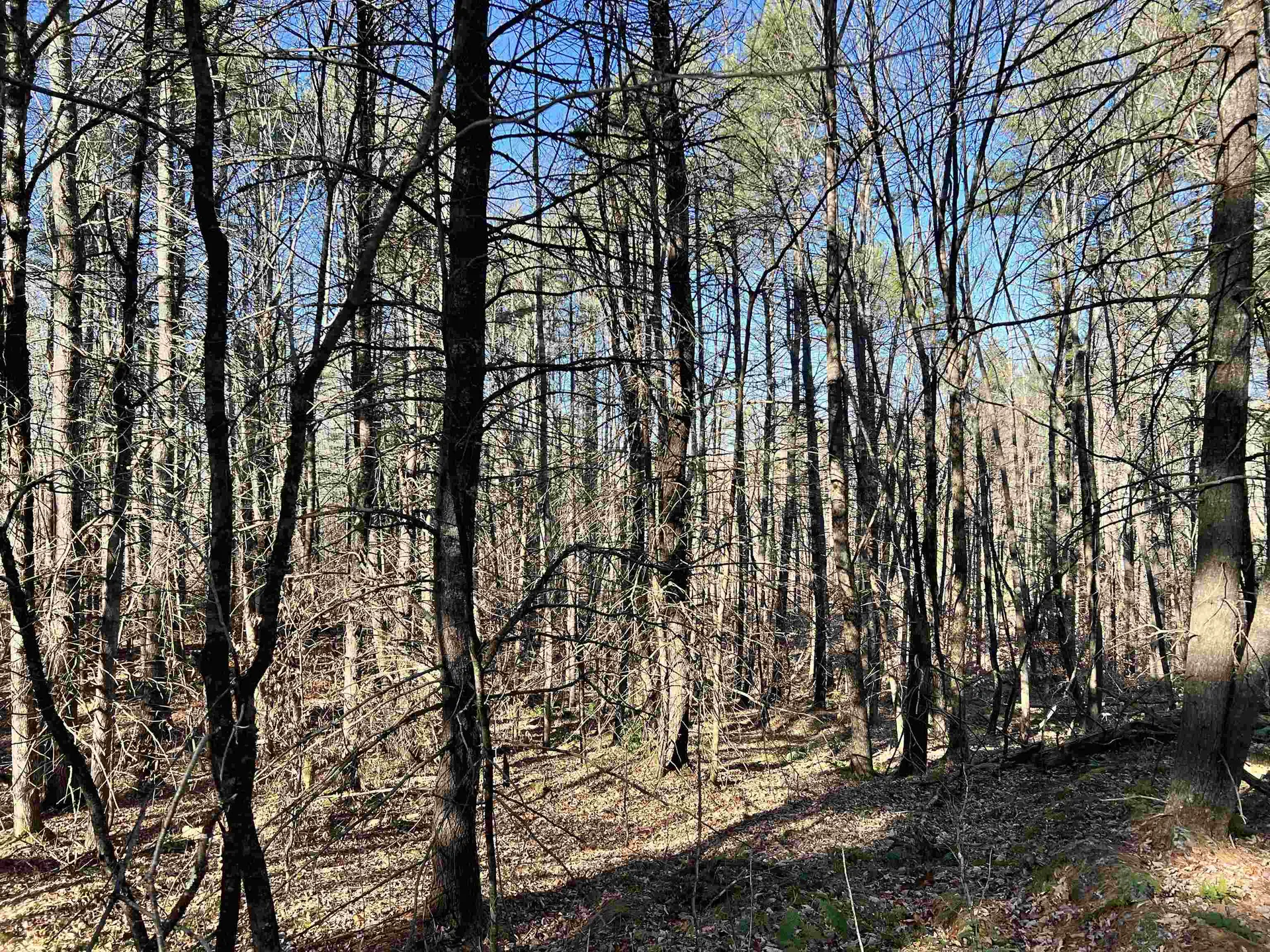 00 Weeden Hill Road West Windsor VT 05037