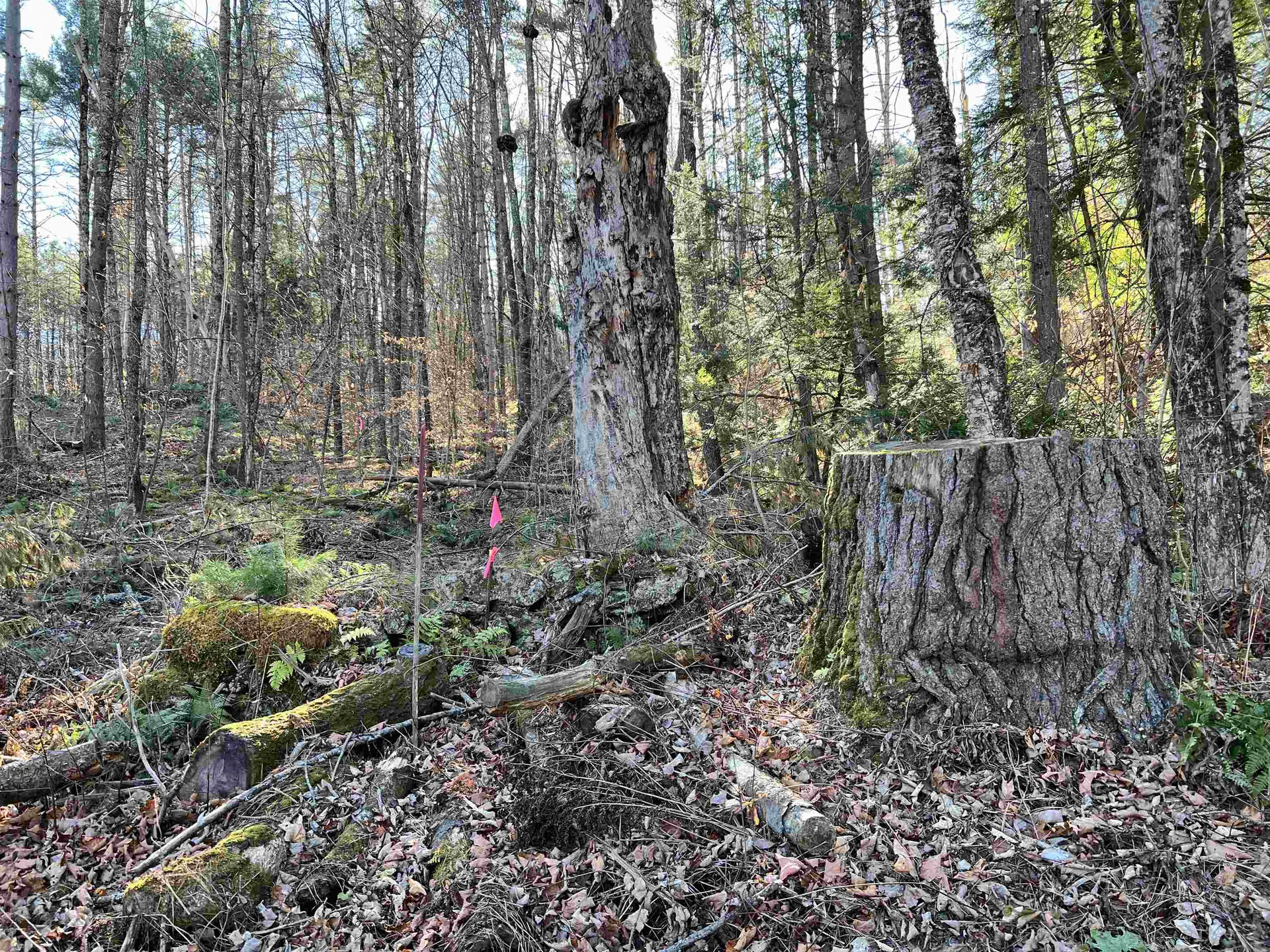 00 Weeden Hill Road West Windsor VT 05037