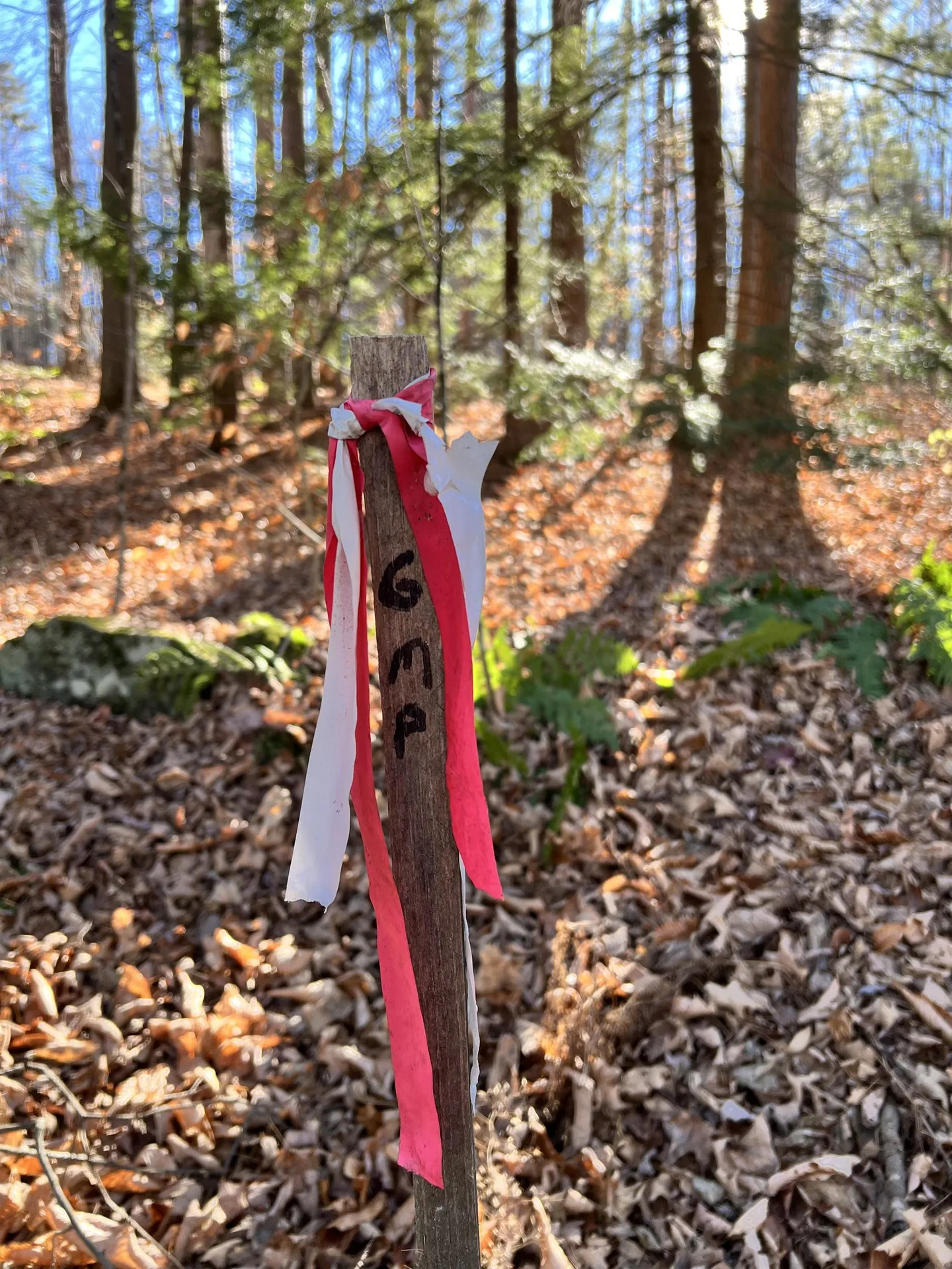 00 Weeden Hill Road West Windsor VT 05037