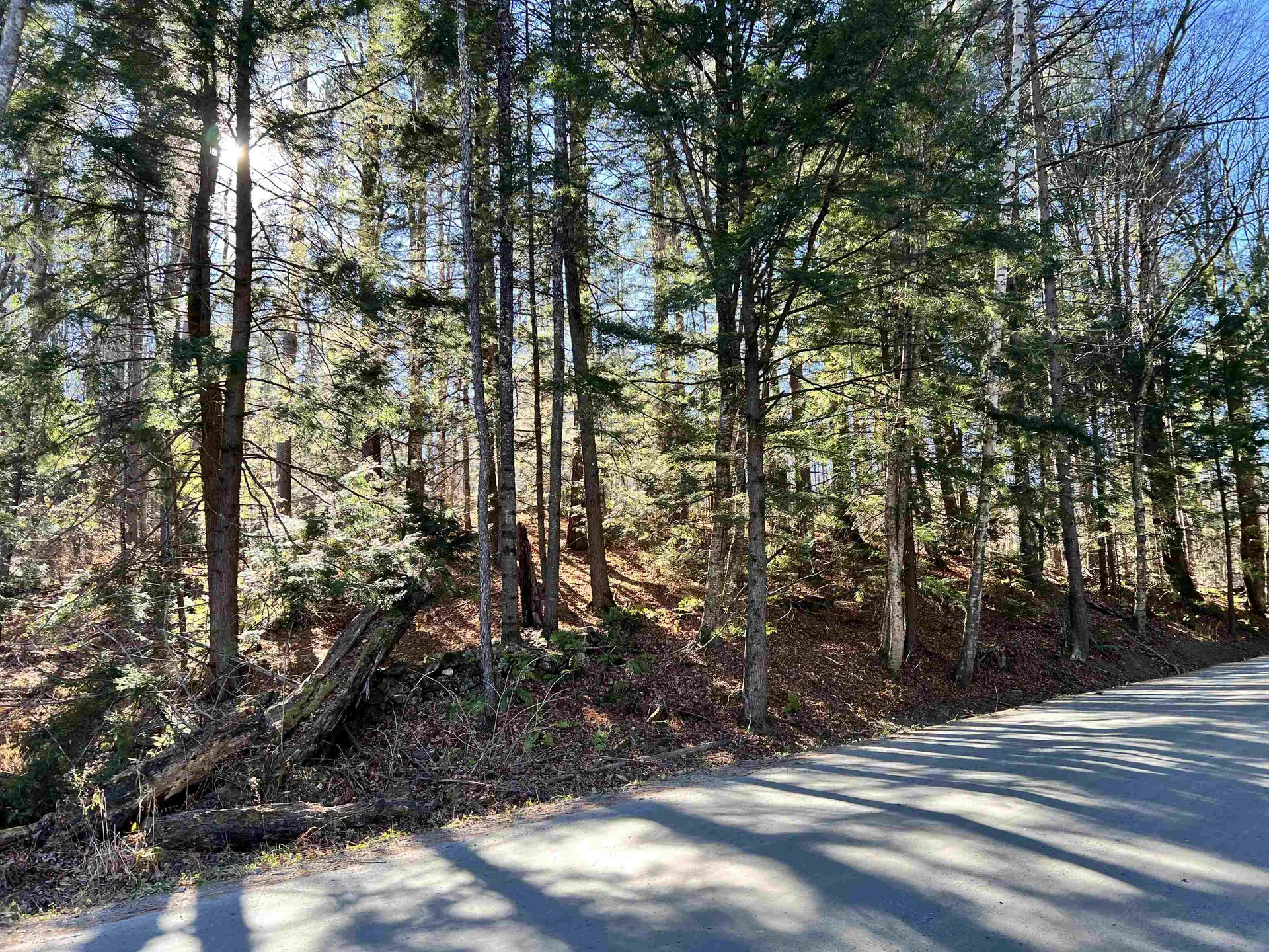 00 Weeden Hill Road West Windsor VT 05037