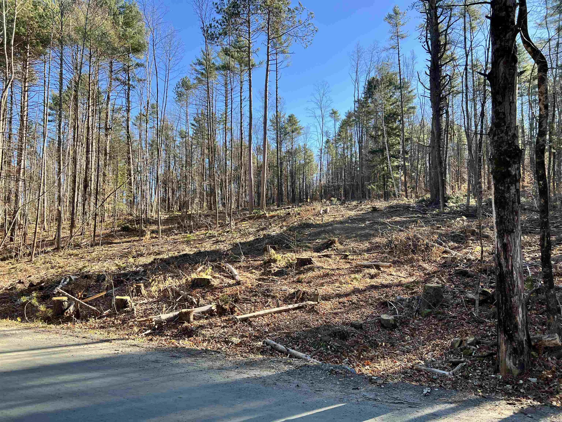 00 Weeden Hill Road West Windsor VT 05037