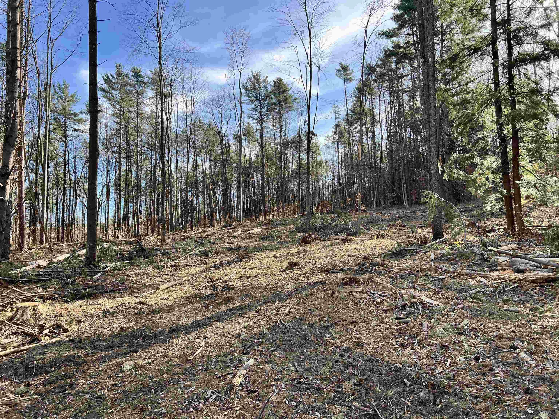 00 Weeden Hill Road West Windsor VT 05037