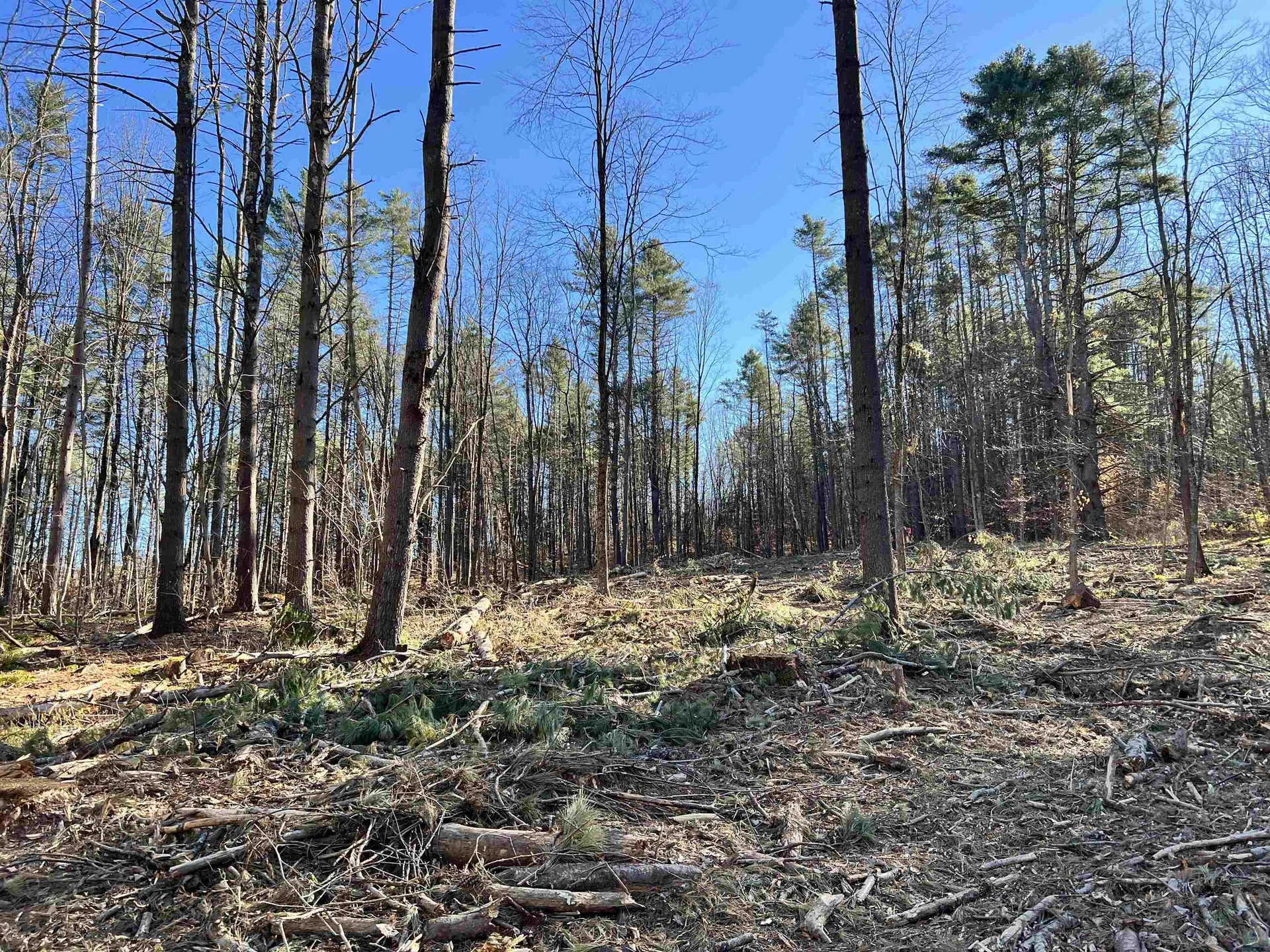 00 Weeden Hill Road West Windsor VT 05037