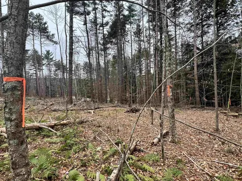 00 Weeden Hill Road West Windsor VT 05037