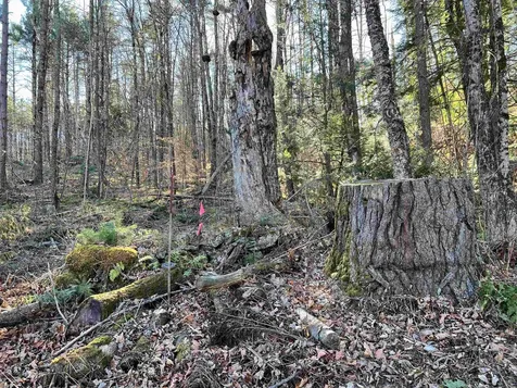 00 Weeden Hill Road West Windsor VT 05037
