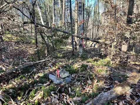 00 Weeden Hill Road West Windsor VT 05037