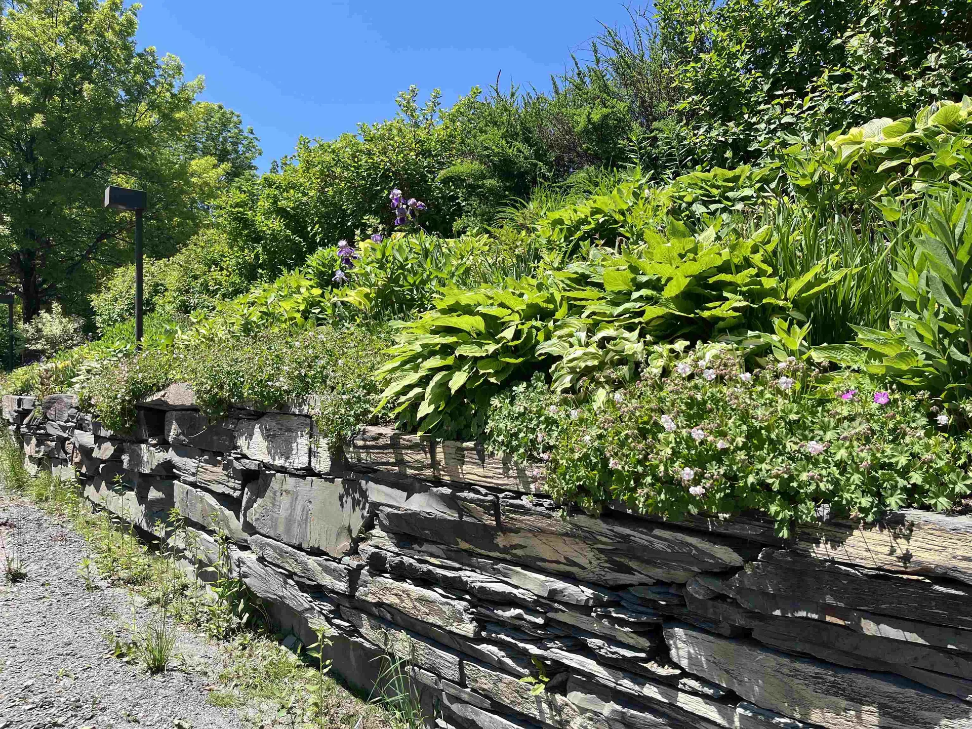 30 Mountainside Drive Warren VT 05674