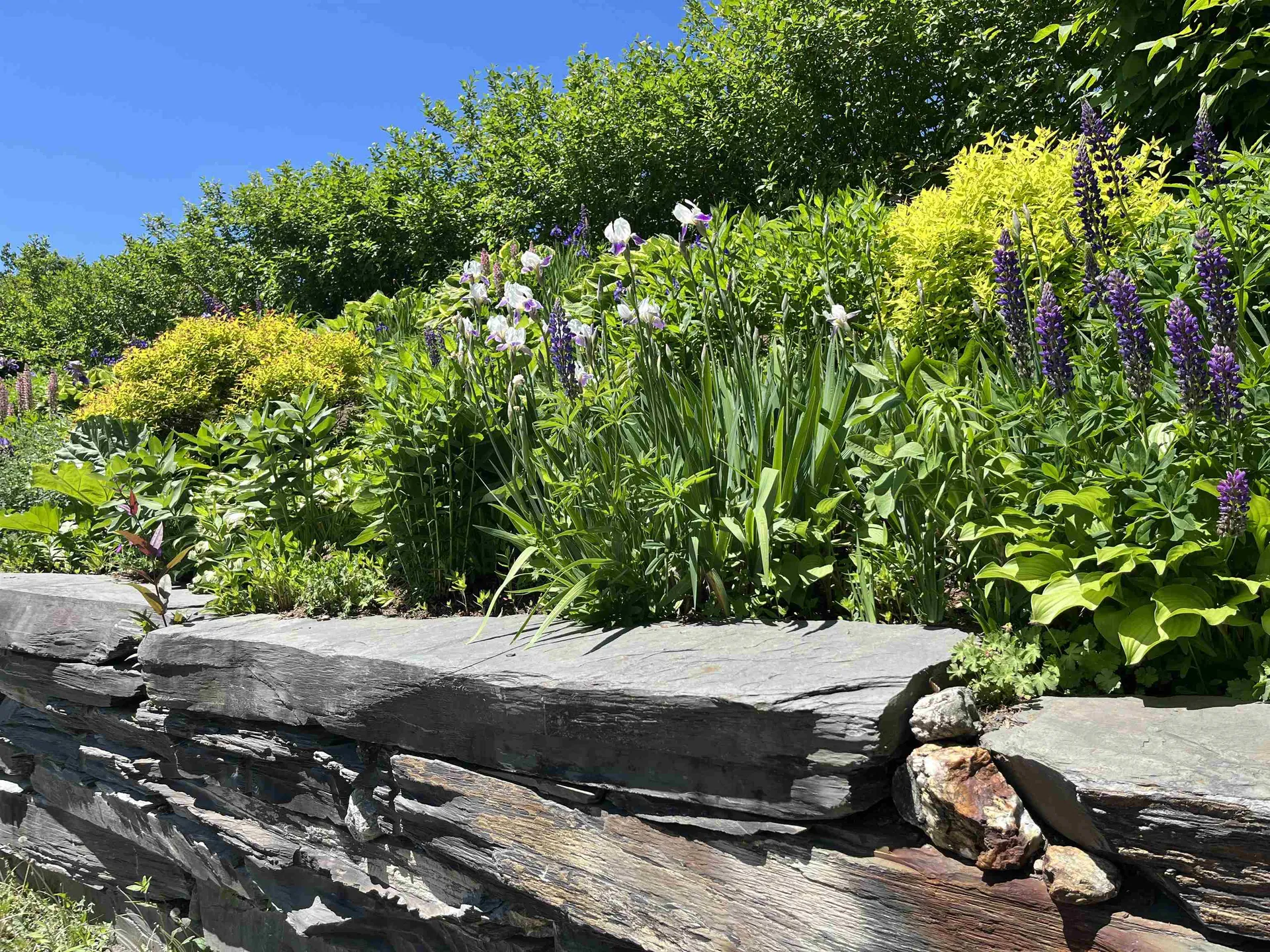 30 Mountainside Drive Warren VT 05674