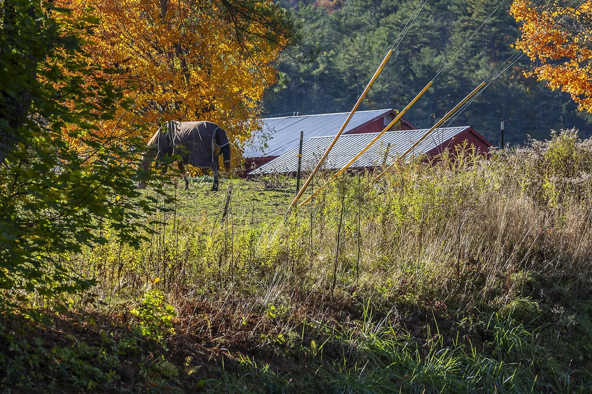 18 County Road Windsor VT 05089