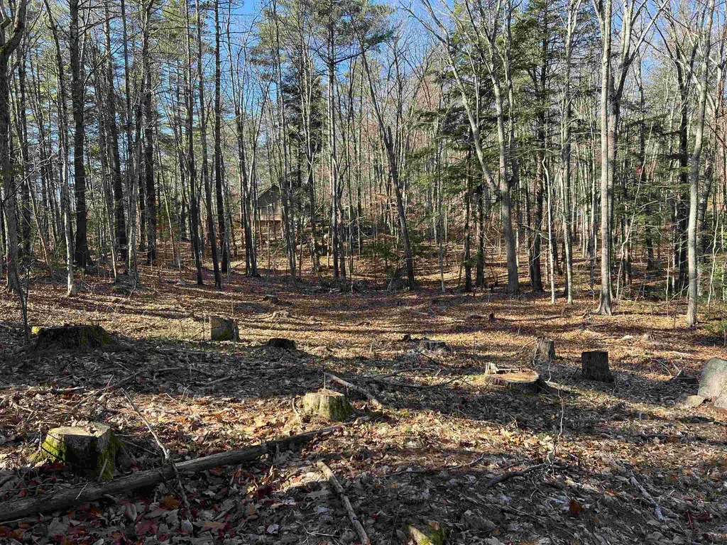 2 Blinden Drive Madison NH 03849
