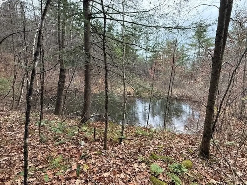 34 Ny Route 346 Petersburgh NY 12138