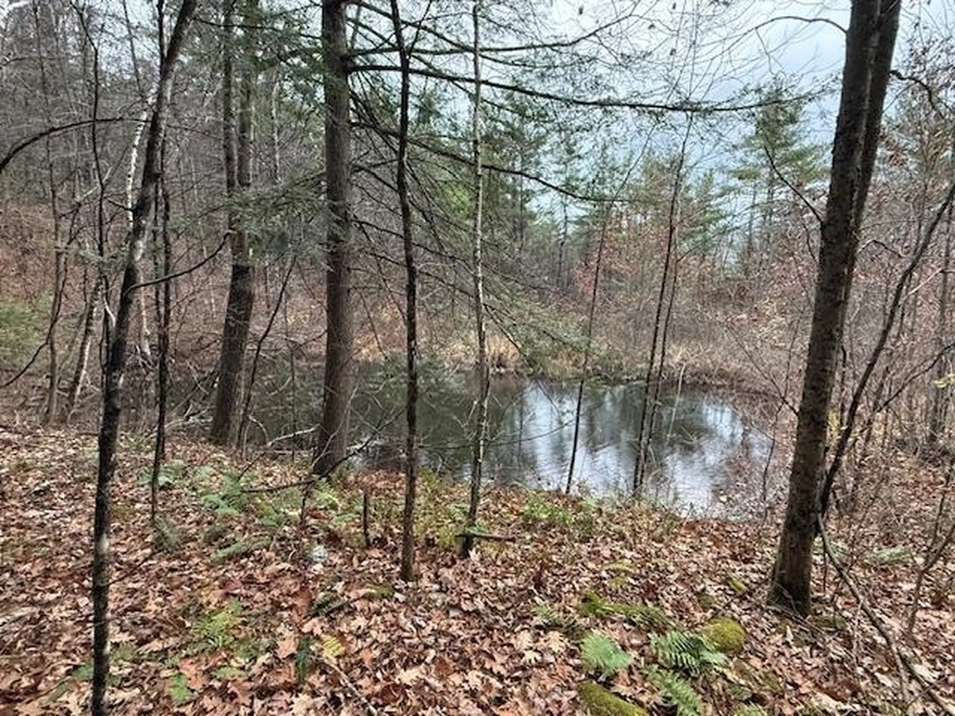 34 Ny Route 346 Petersburgh NY 12138