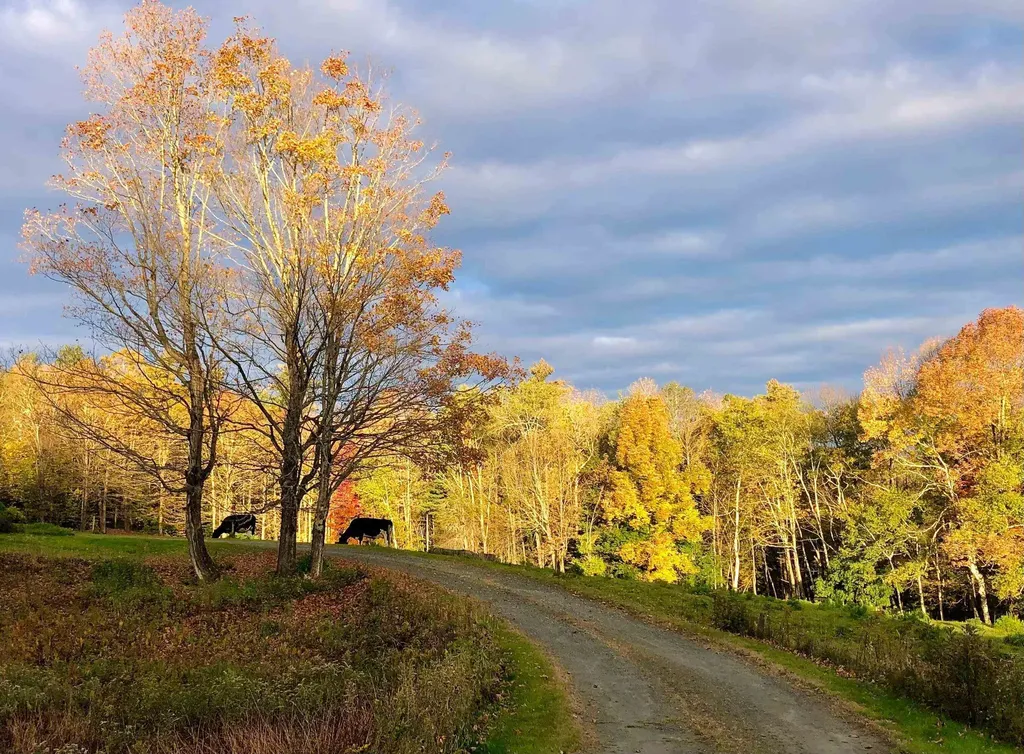 1211 Maple Hill Lane Whitingham VT 05361