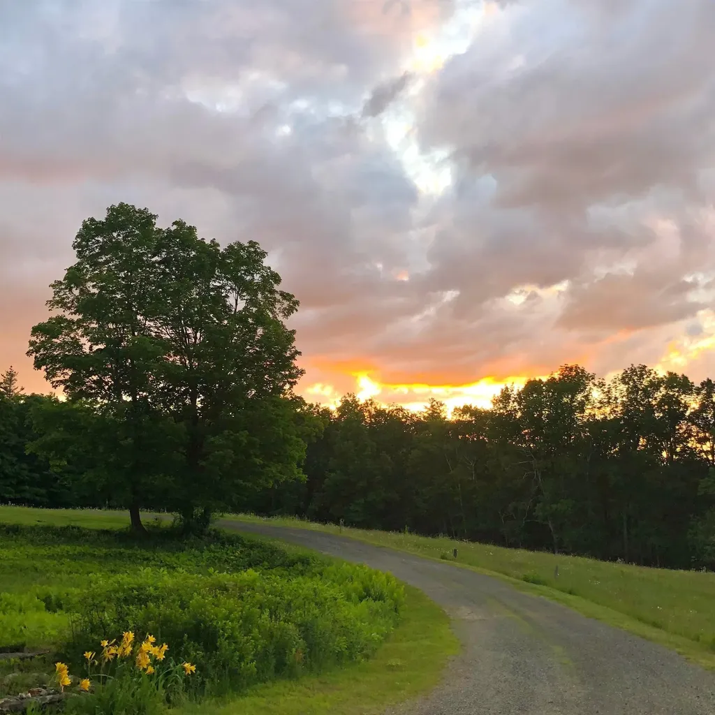 1211 Maple Hill Lane Whitingham VT 05361