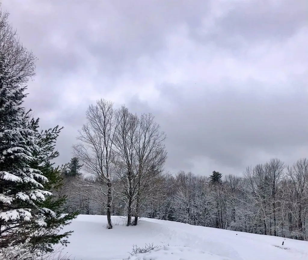 1211 Maple Hill Lane Whitingham VT 05361