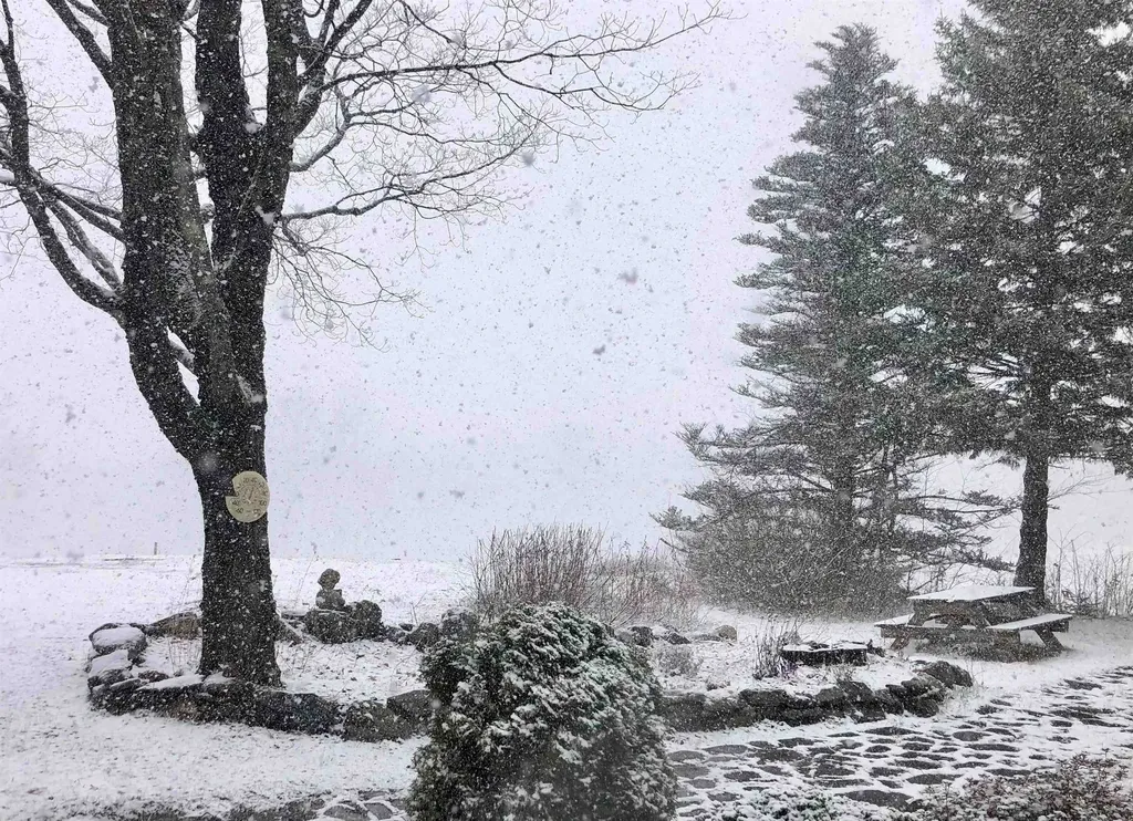 1211 Maple Hill Lane Whitingham VT 05361