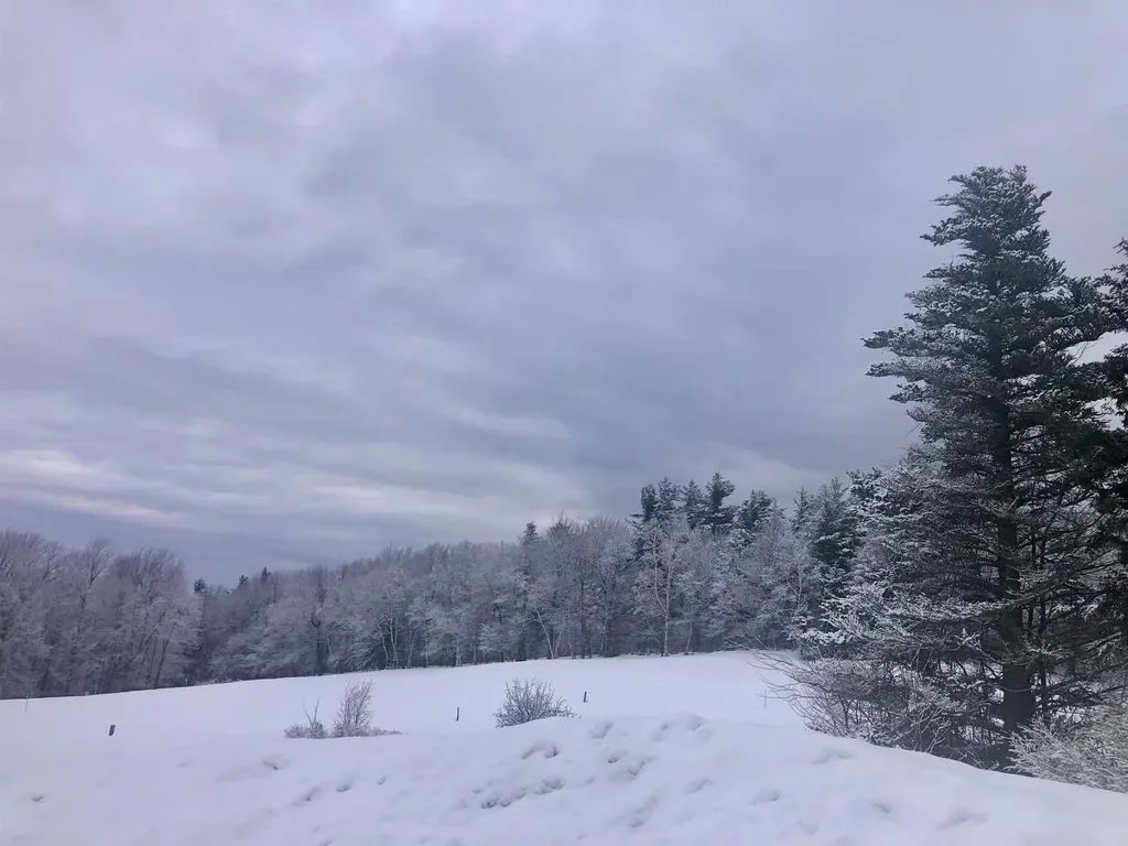 1211 Maple Hill Lane Whitingham VT 05361