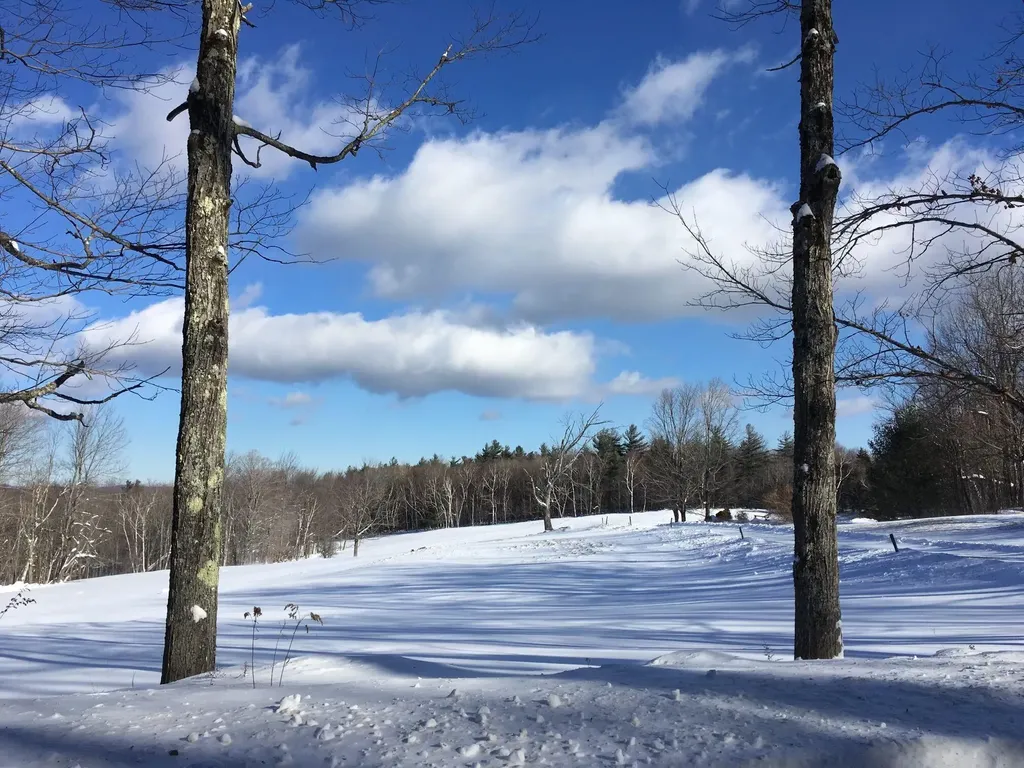 1211 Maple Hill Lane Whitingham VT 05361