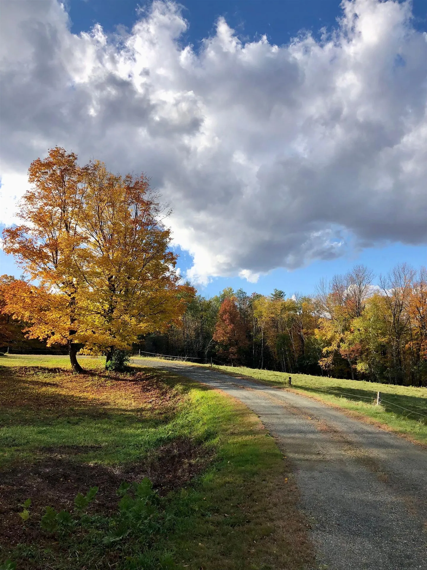 1211 Maple Hill Lane Whitingham VT 05361