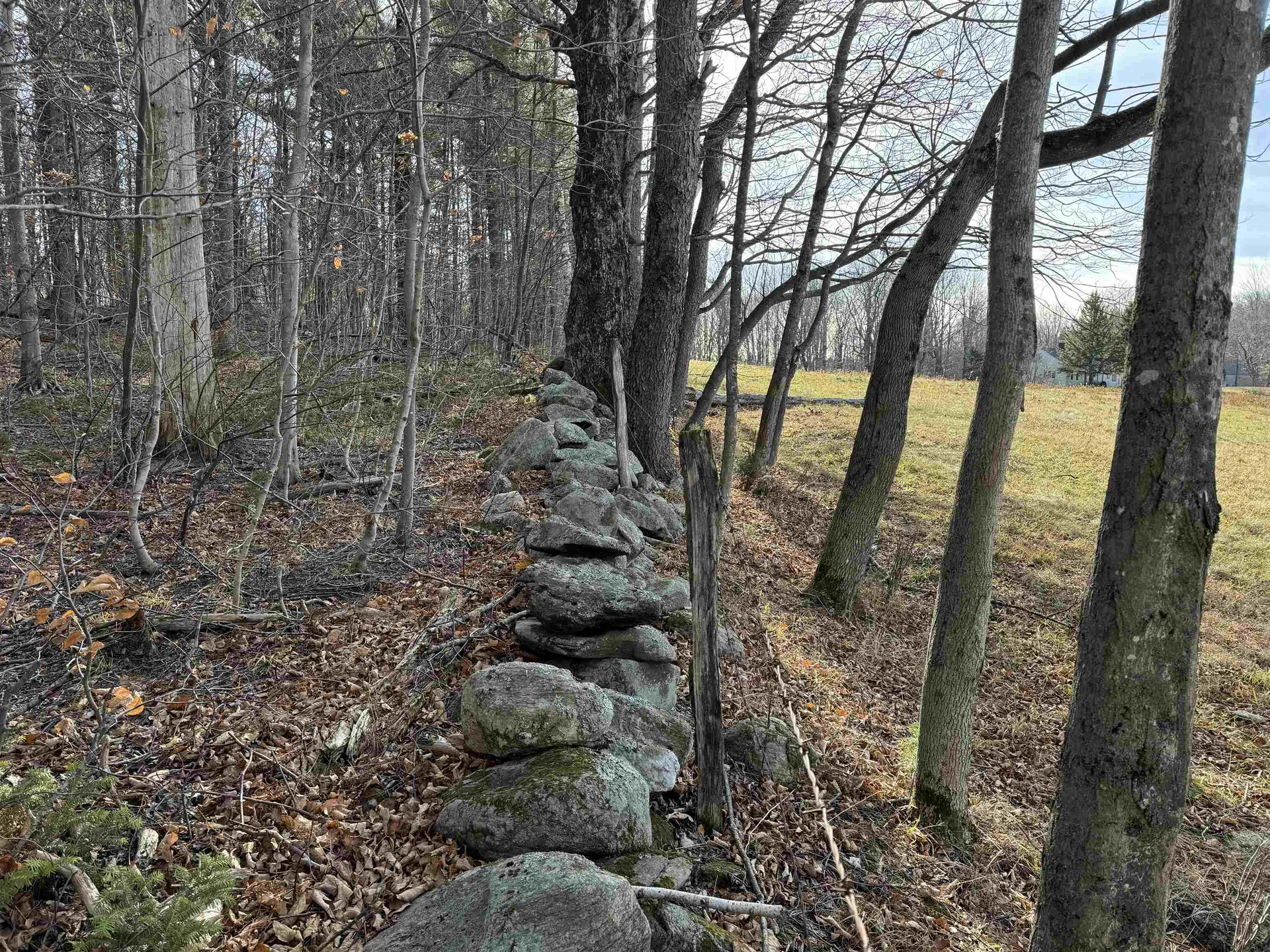 1211 Maple Hill Lane Whitingham VT 05361