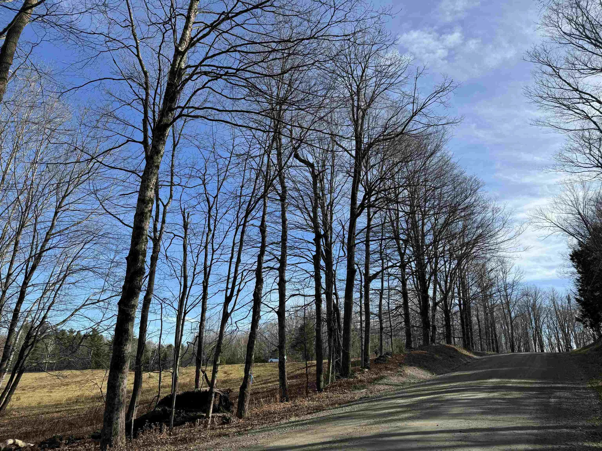 1211 Maple Hill Lane Whitingham VT 05361