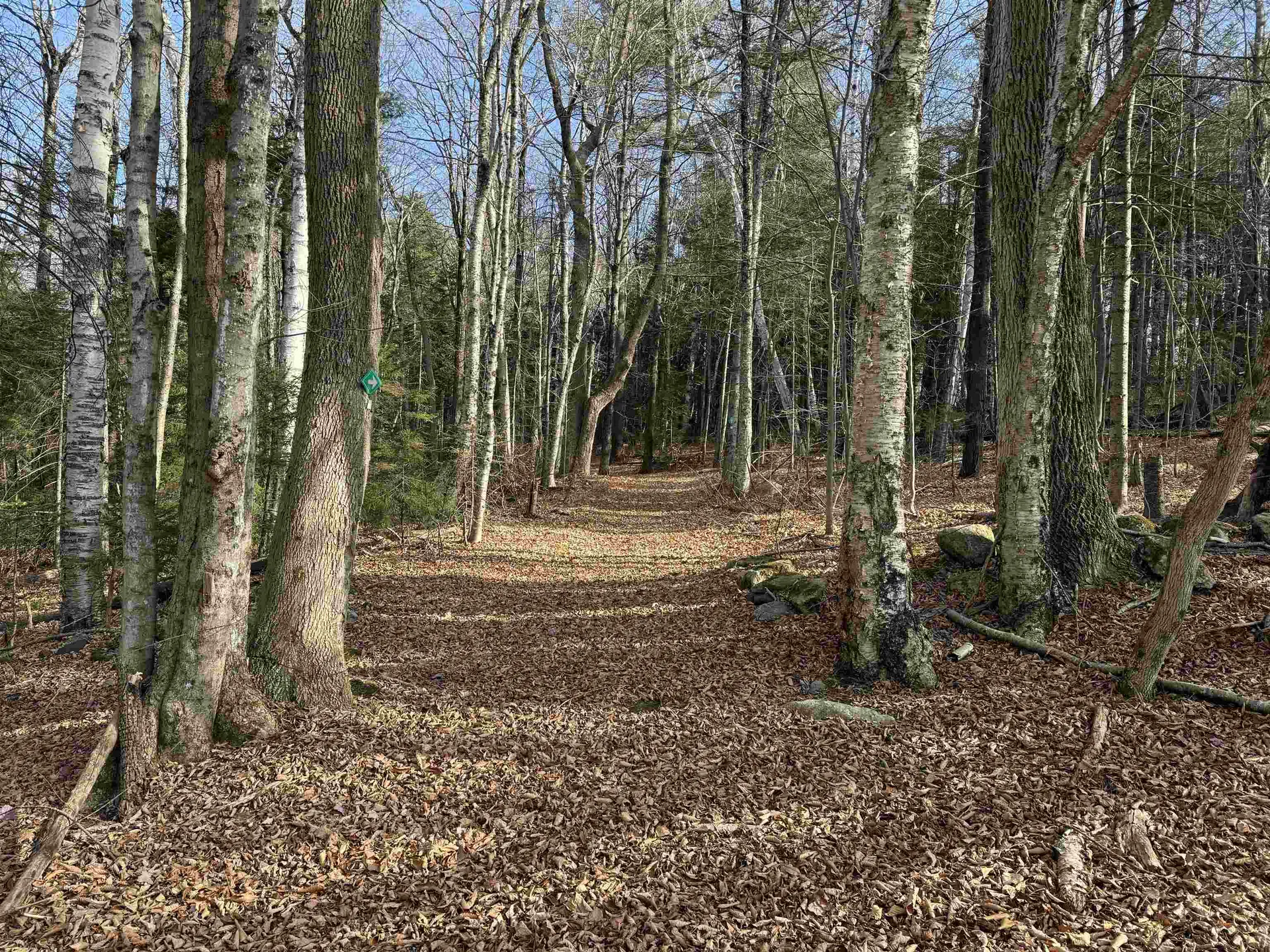 1211 Maple Hill Lane Whitingham VT 05361