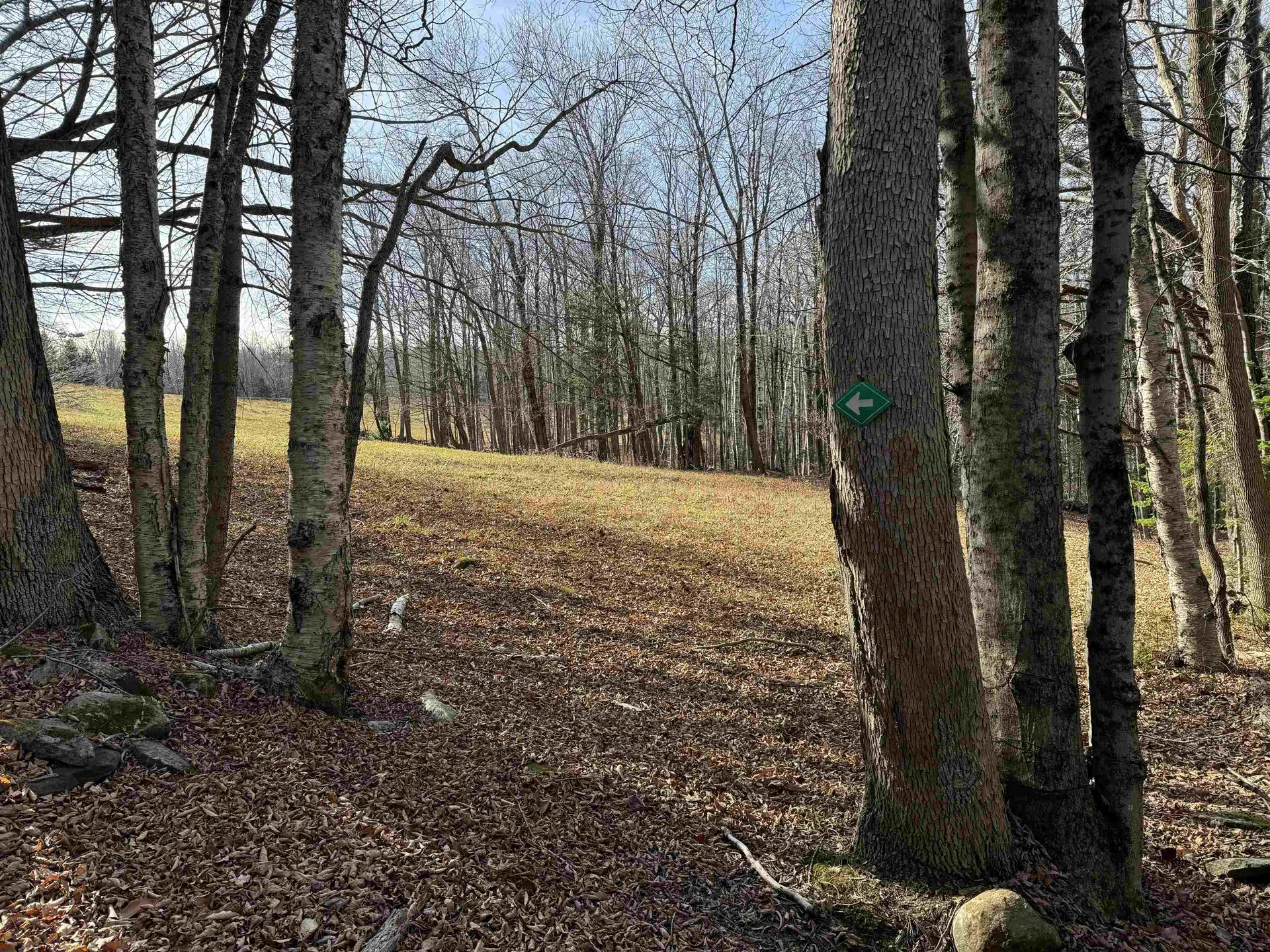 1211 Maple Hill Lane Whitingham VT 05361