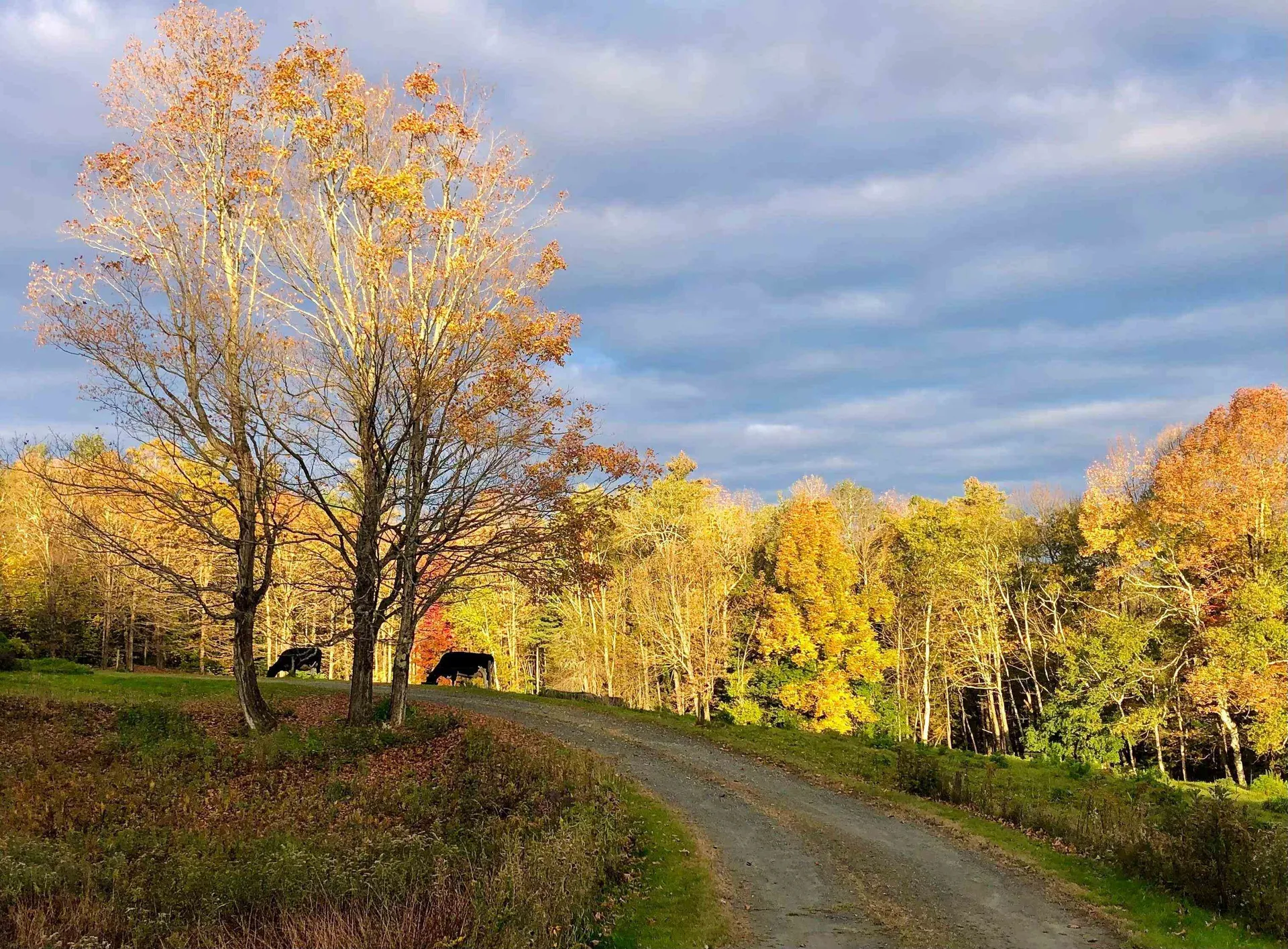 1211 Maple Hill Lane Whitingham VT 05361