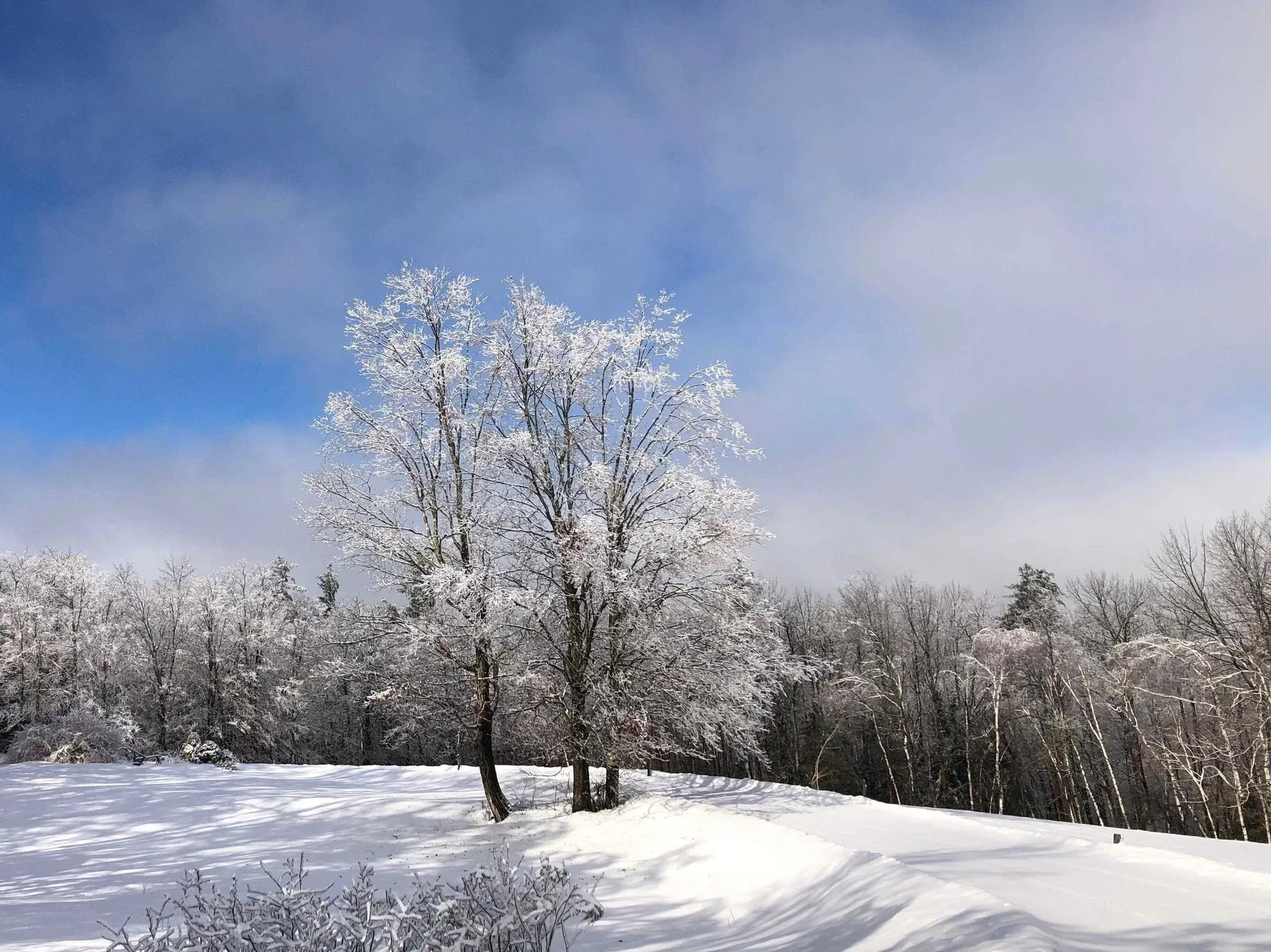 1211 Maple Hill Lane Whitingham VT 05361