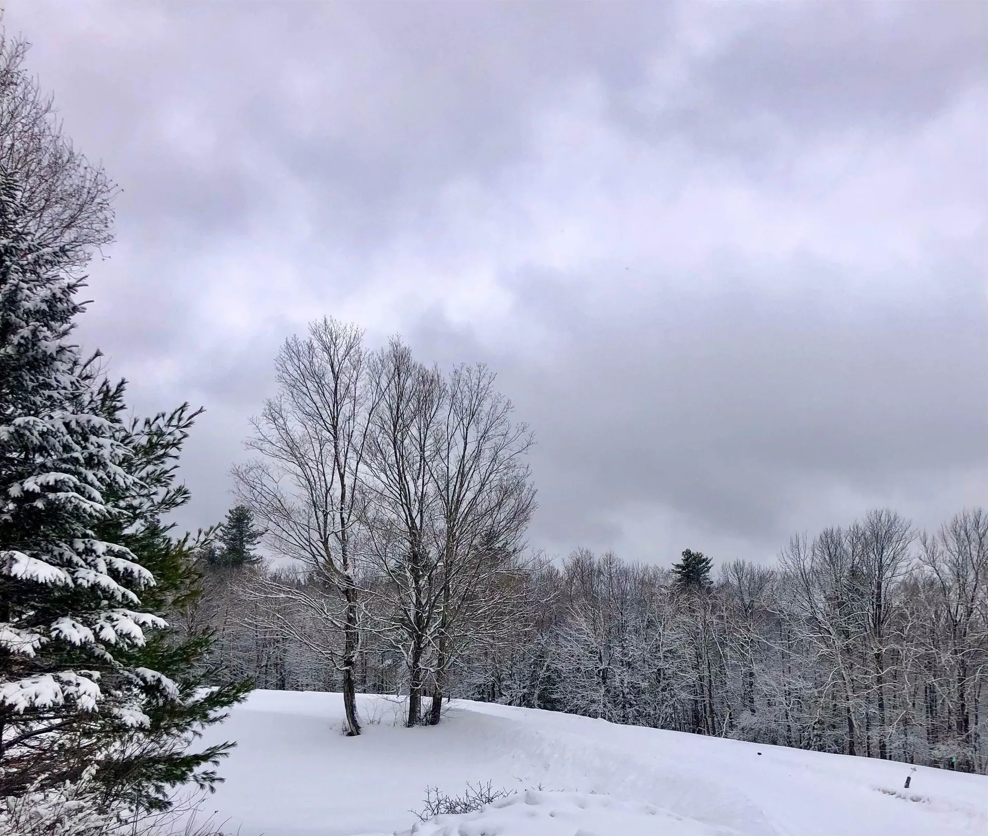 1211 Maple Hill Lane Whitingham VT 05361