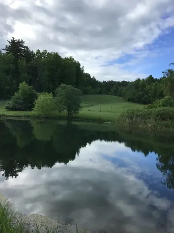 640 Orchard Drive Bridport VT 05734