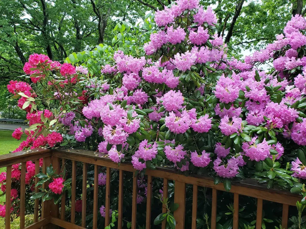 414 Old Guilford Road Brattleboro VT 05301