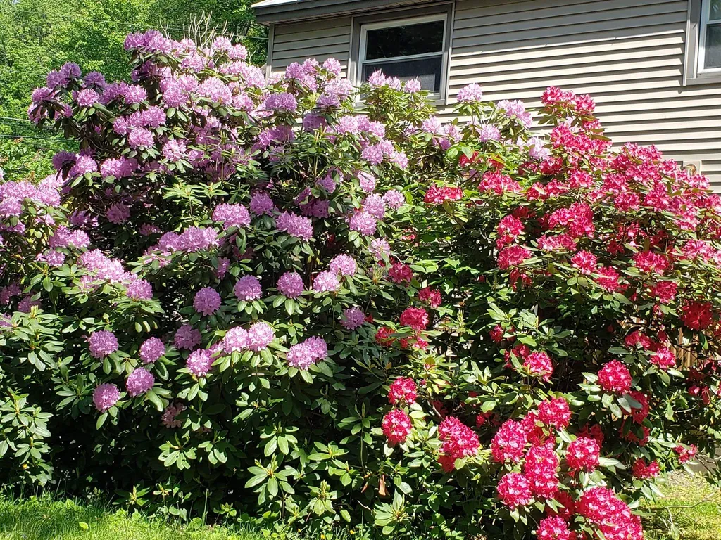 414 Old Guilford Road Brattleboro VT 05301