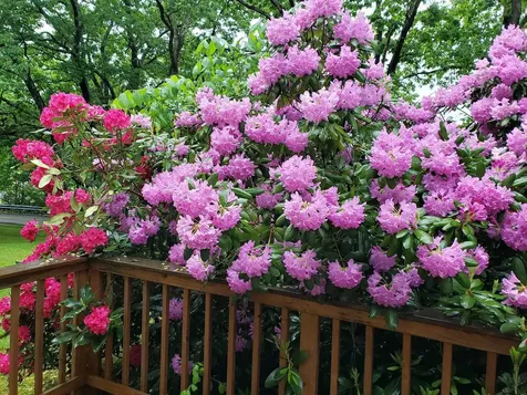 414 Old Guilford Road Brattleboro VT 05301